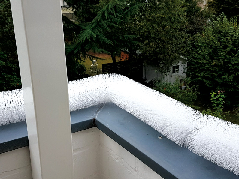 Fassadenschutz-_.jpg