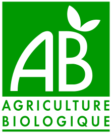 Olivenöle aus der Provence in Bio-Qualität