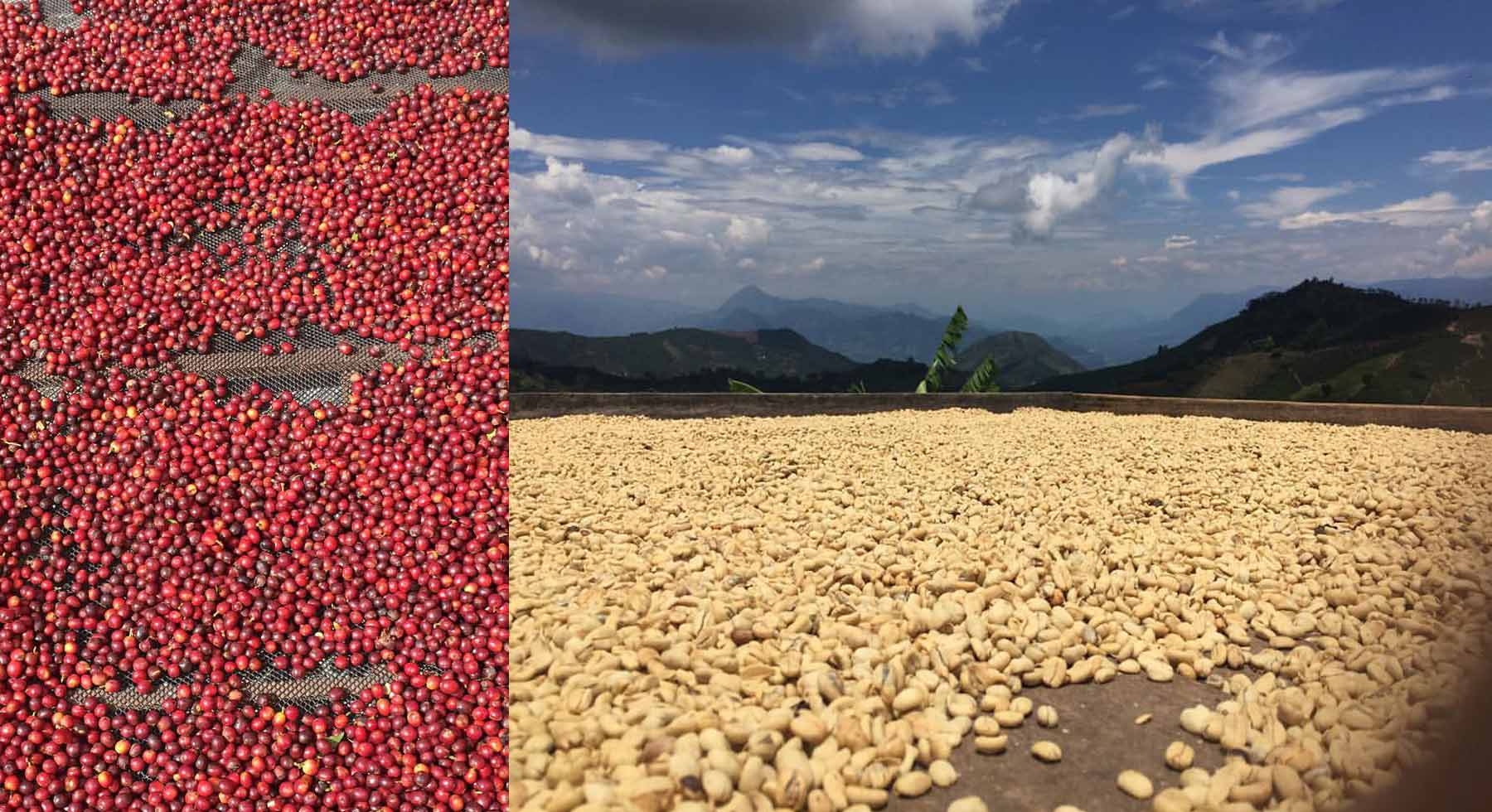 colombia-03.jpg