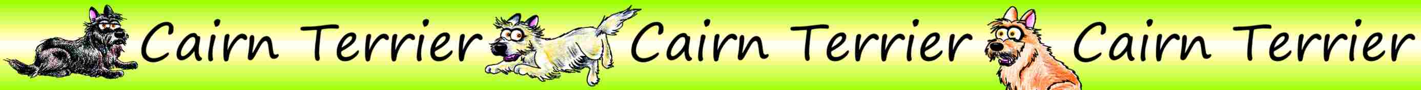 Band_Cairn_Terrier_01-14_HP.jpg
