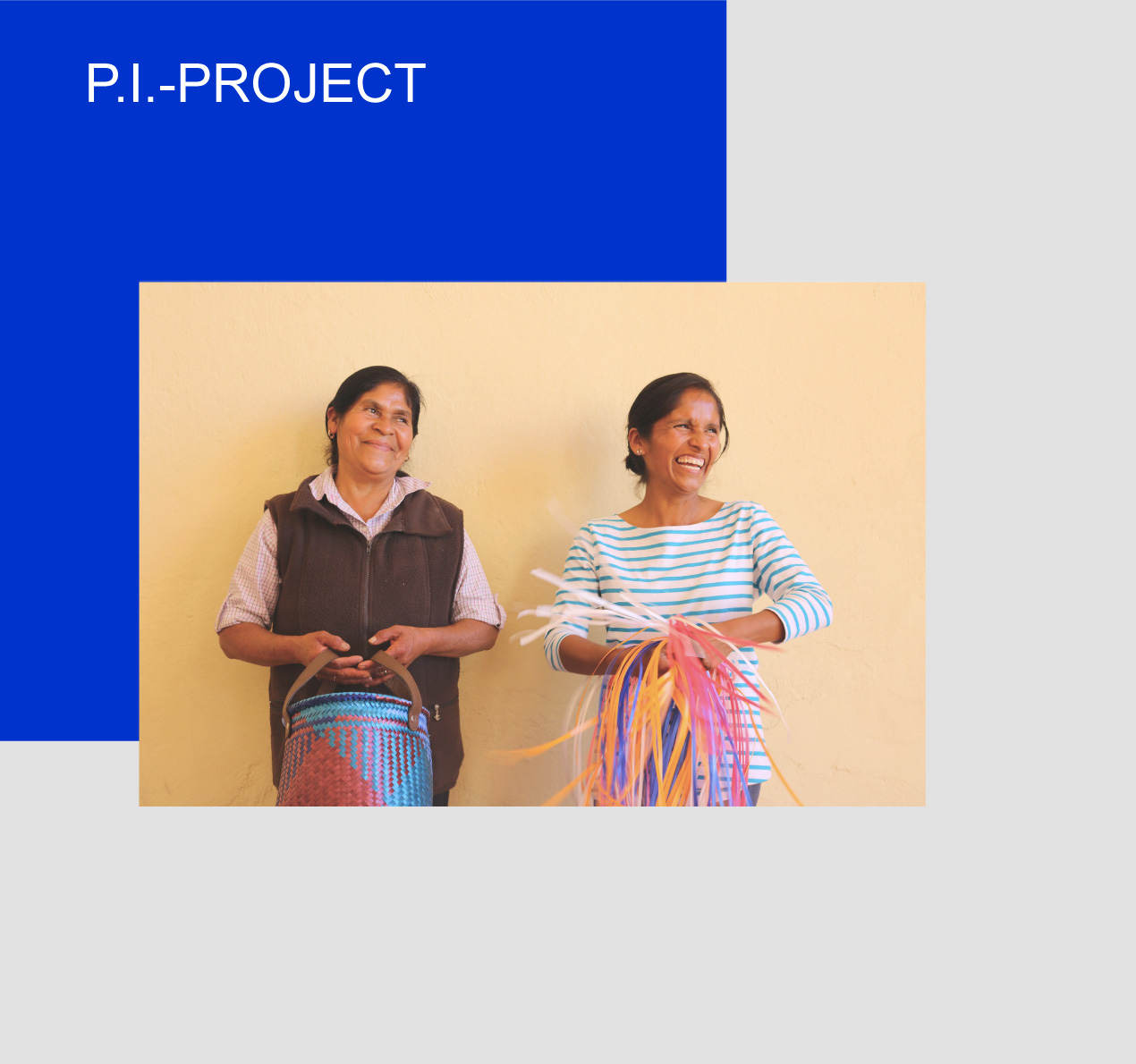 p-i-project koerbe kaufen mimbros mixtecos online Berlin shop