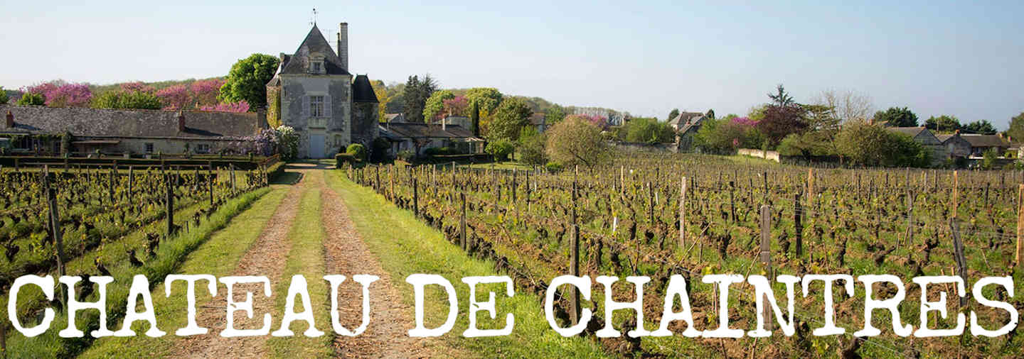 Chateau de Chaintres