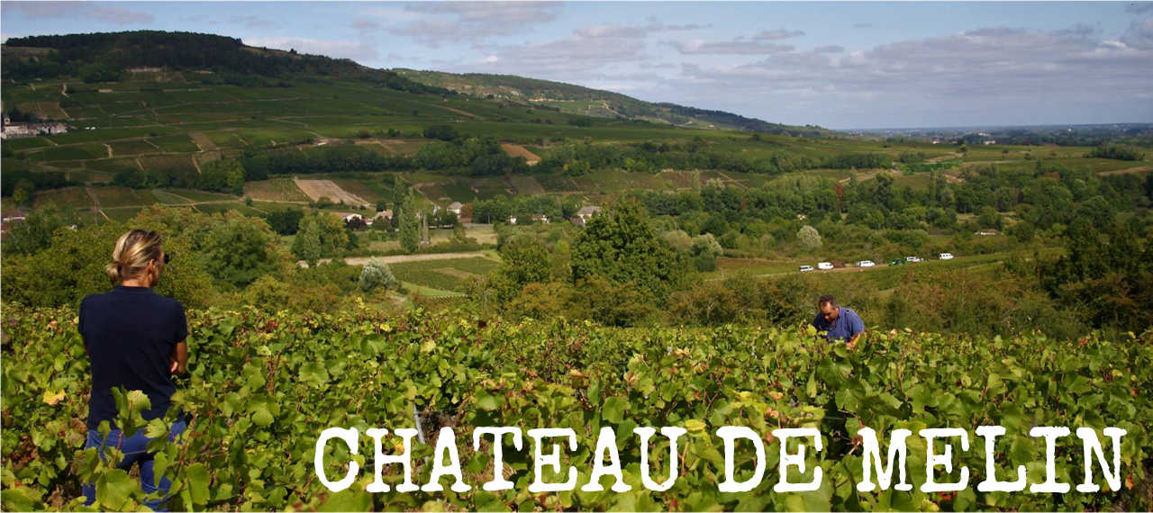 Chateau de Melin