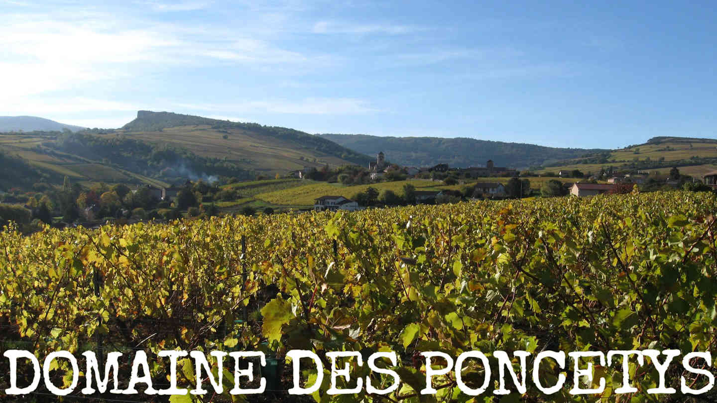 Domaine des Poncetys