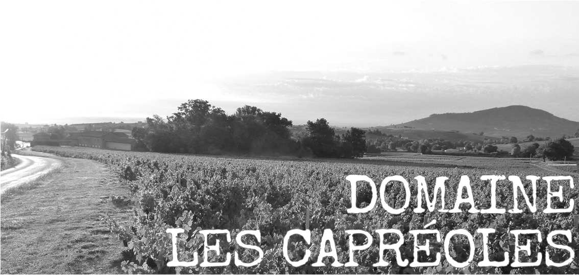 Domaine les Capréoles