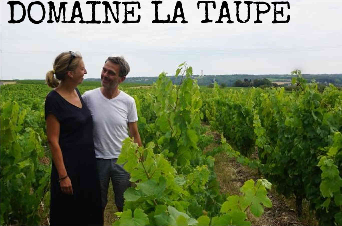 Domaine la Taupe