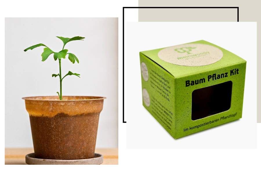 Nachhaltige Werbegeschenke für Marketing: Baumpflanz-Kit mit Branding