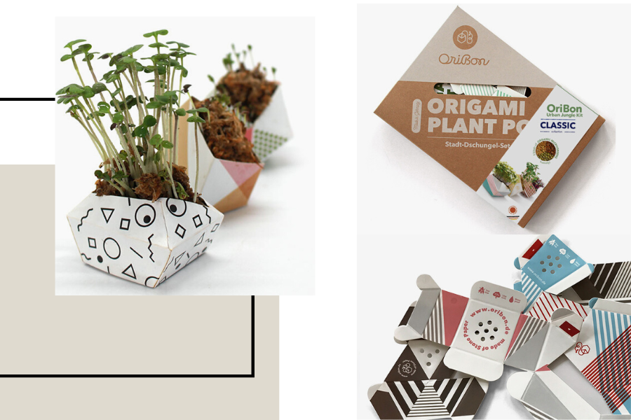 Nachhaltige Geschenkideen für Geschäftspartner: DIY-Pflanzset mit Branding
