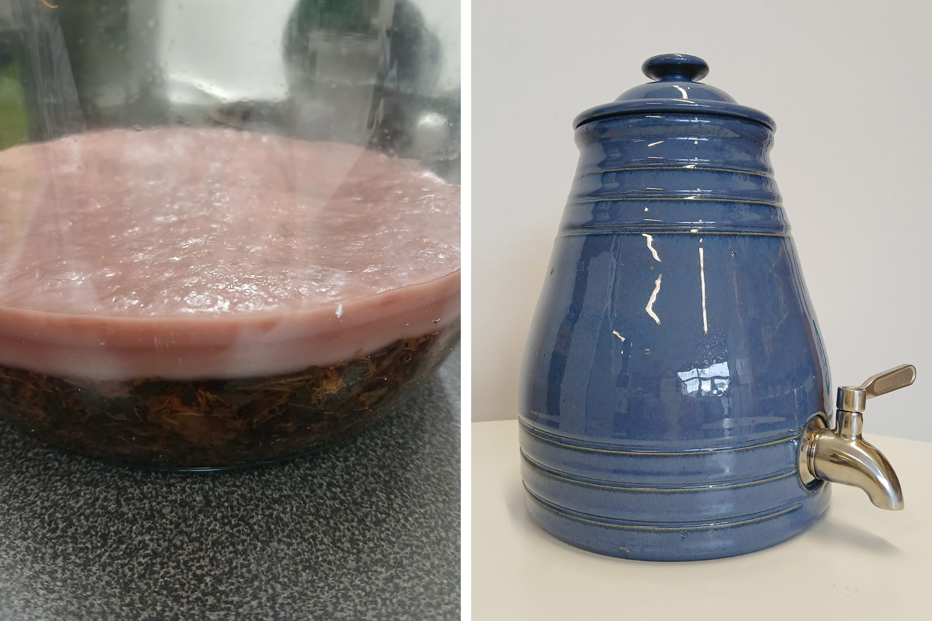 links eine frische Essigmutter im Glasgefäß, rechts ein blauer Gärtopf aus Steingut