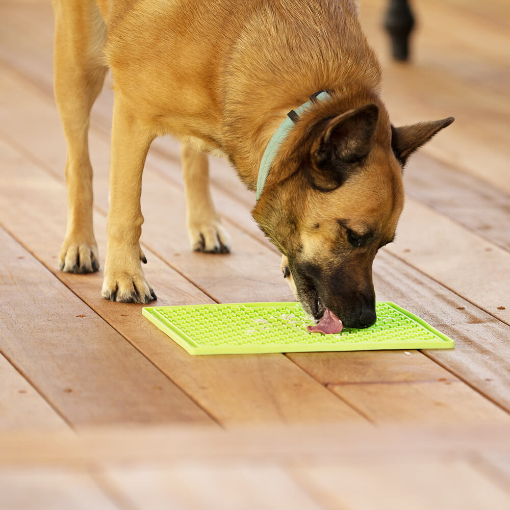 Schcleckmatte für Hund