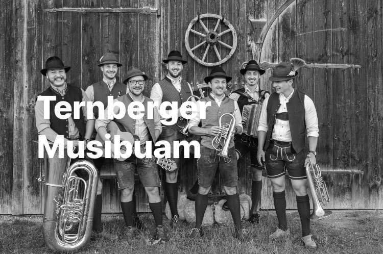 Ternberger Musibuam - Brassego Flügelhörner & Basstrompete