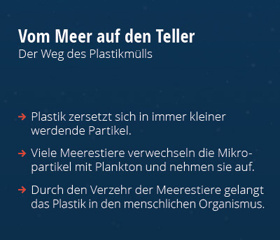 Infografik_-_Vom_Meer_auf_den_Teller.jpg