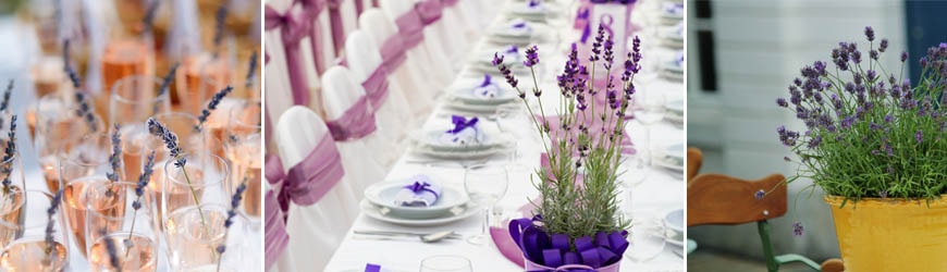 Lavendel-Deko-min.jpg
