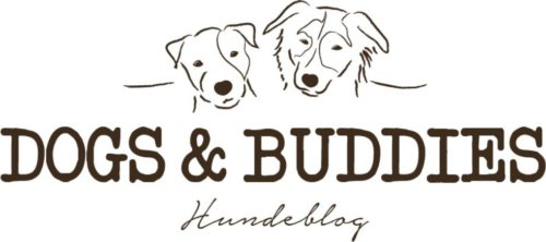 Dogs_Buddies.jpg