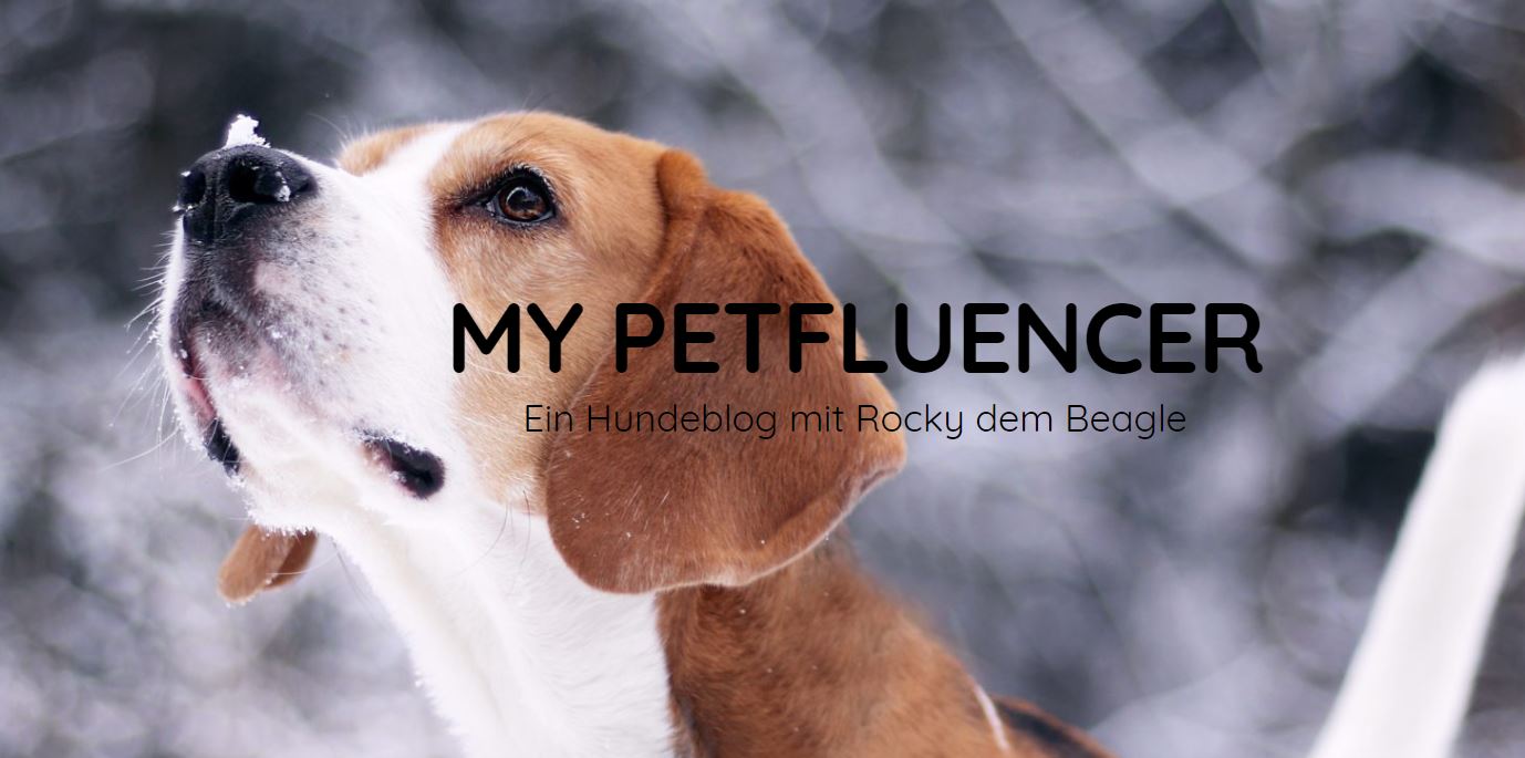 My_Petfluencer.jpg