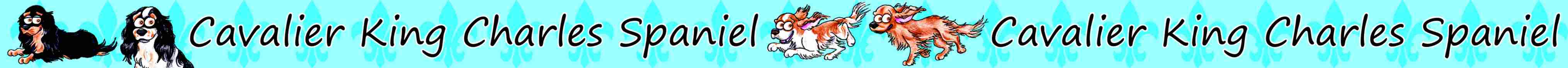 Band_Cavalier_King_Charles_Spaniel07-13_HP.jpg