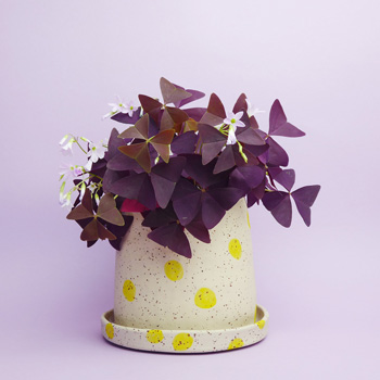 Elin Frodig Keramik kaufen Berlin - The Botanical Room - plant shop Berlin design ceramic urban jungle