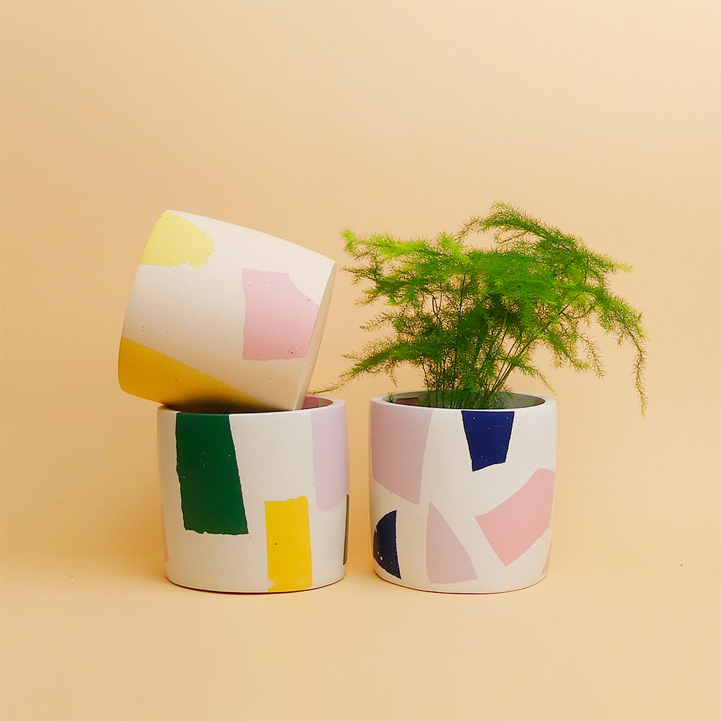 Salt Studios kaufen - The Botanical Room