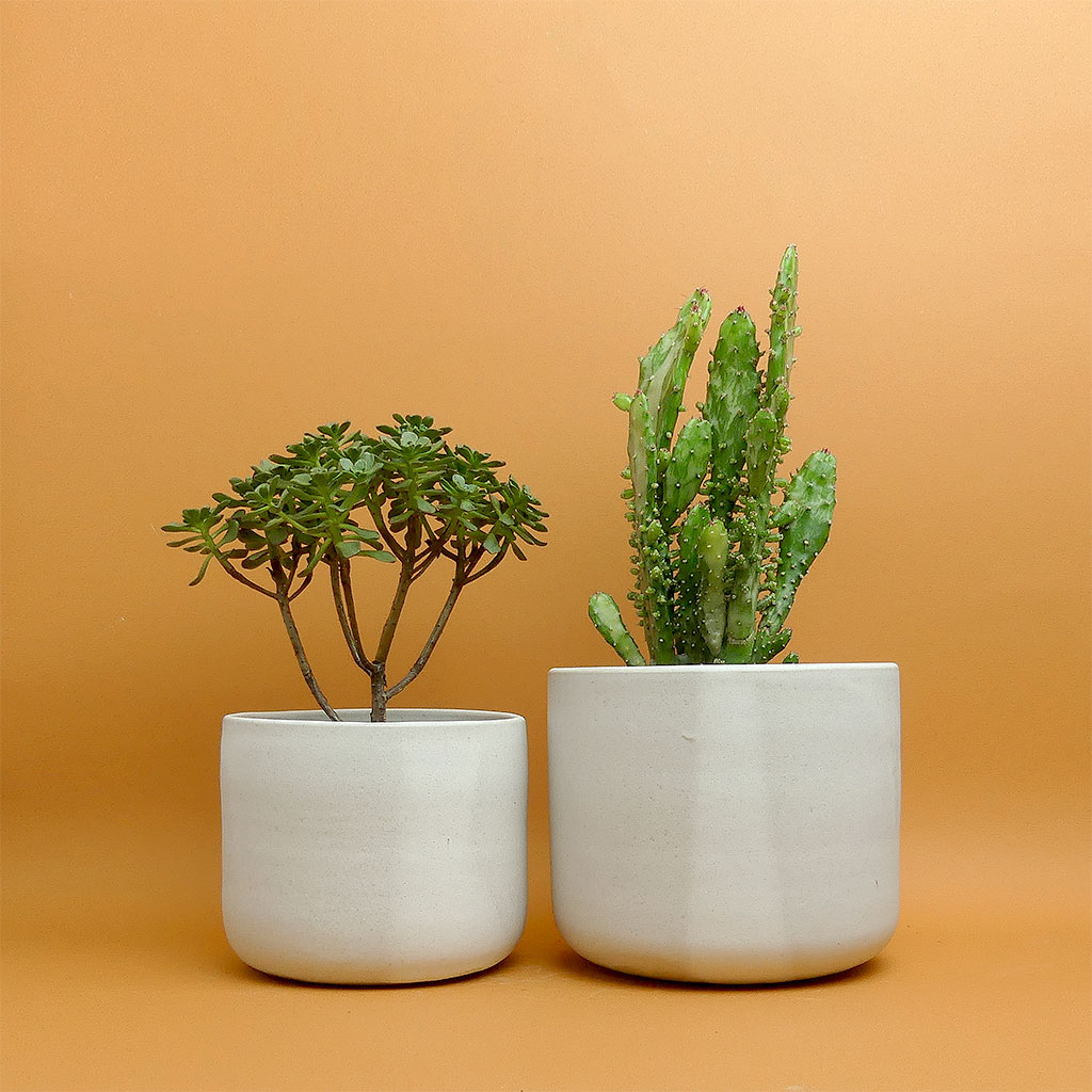 Studio Maals Keramik kaufen - The Botanical Room