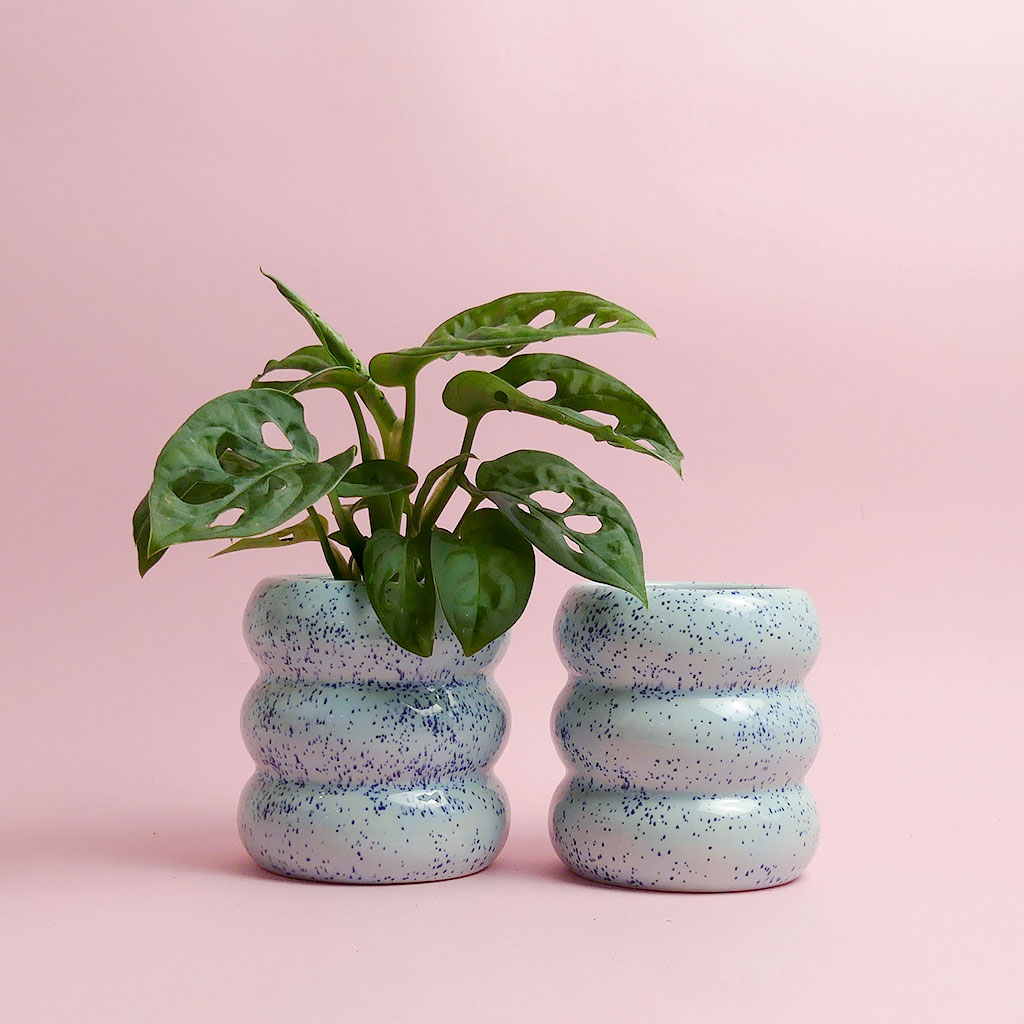 Belly panter hellblau von Hey Mimi Studio - The Botanical Room