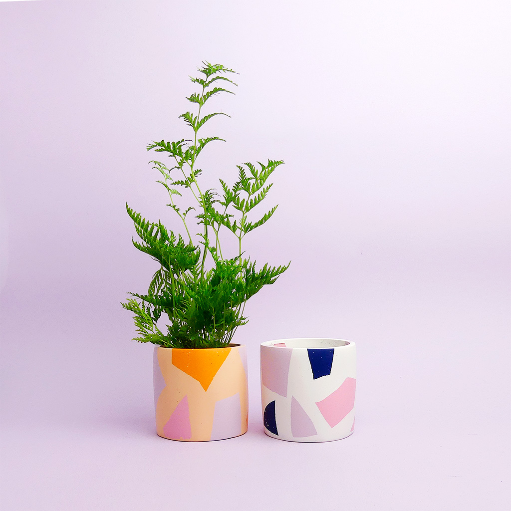 Salt Studios kaufen - The Botanical Room