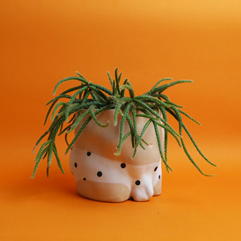 Group Partner Keramik kaufen Berlin - The Botanical Room - plant shop Berlin design ceramic urban jungle