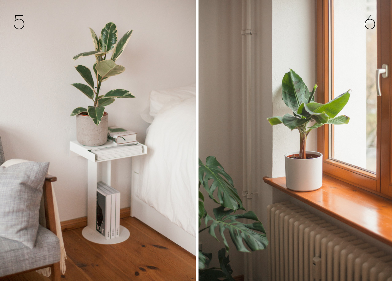 Hien_Le_PlantsAreFriends_4.jpg