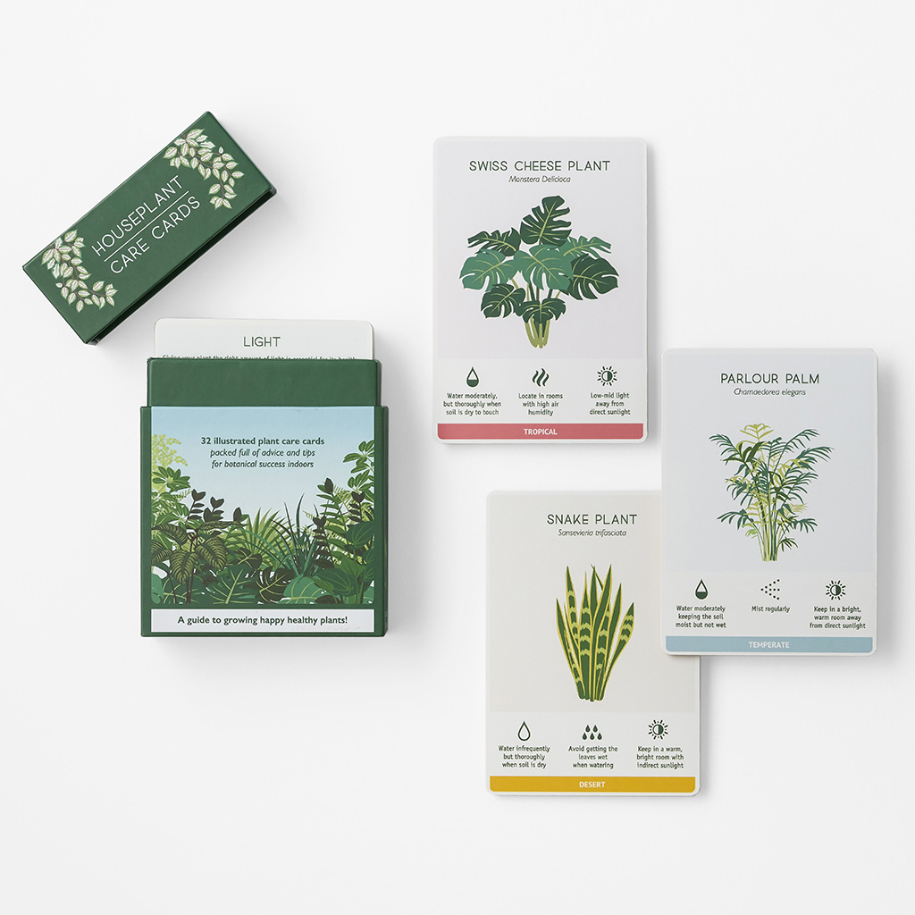 Care Cards für Zimmerpflanzen auf Englisch von Another Studio