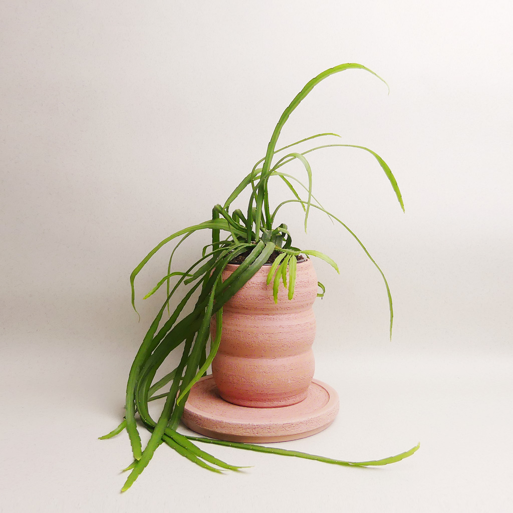 Moio Studio Keramik kaufen Berlin - The Botanical Room - plant shop Berlin design ceramic urban jungle