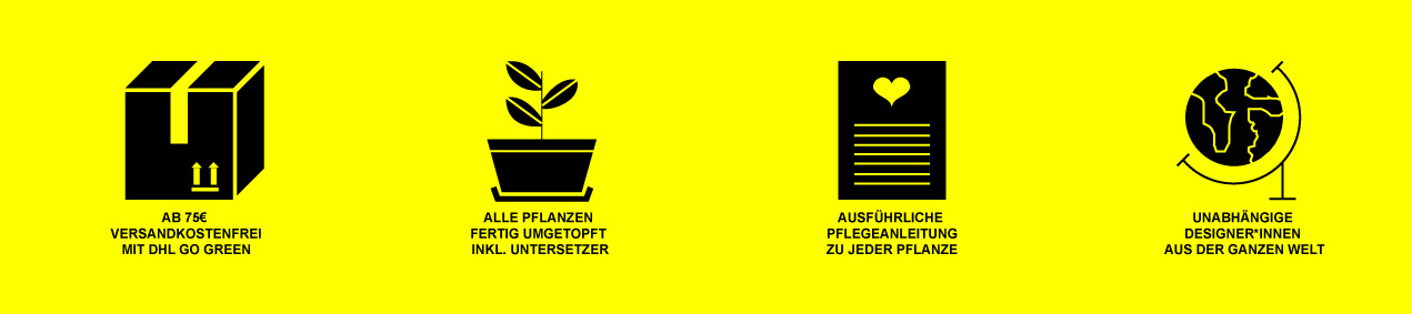 Deine Pflanzenboutique in Kreuzberg mit tollen Zimmerpflanzen und einer großen Auswahl an handgemachten Accessoires. Komm vorbei oder bestelle online!