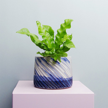 Palavara Keramik kaufen Berlin - The Botanical Room - plant shop Berlin design ceramic urban jungle