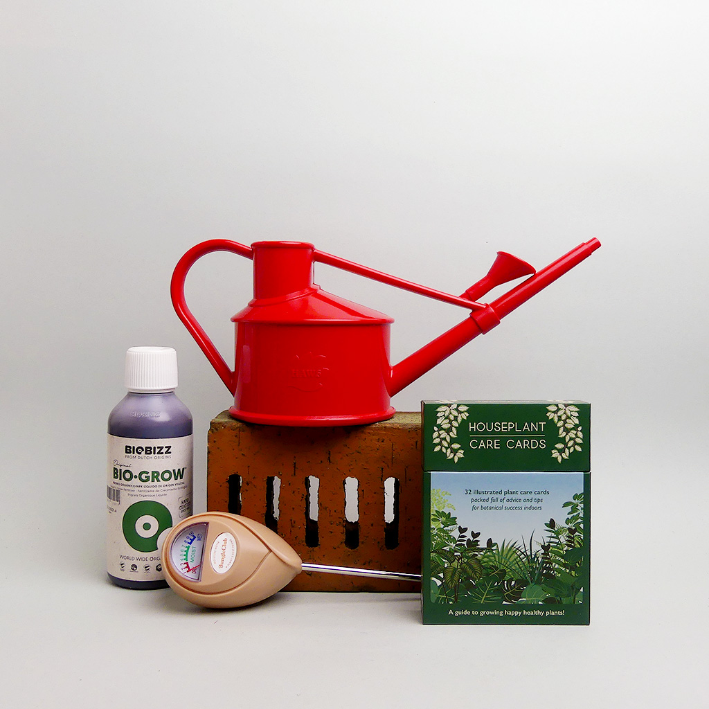 Set für Anfänger*innen mit salbeigrüner Gießkanne von Haws