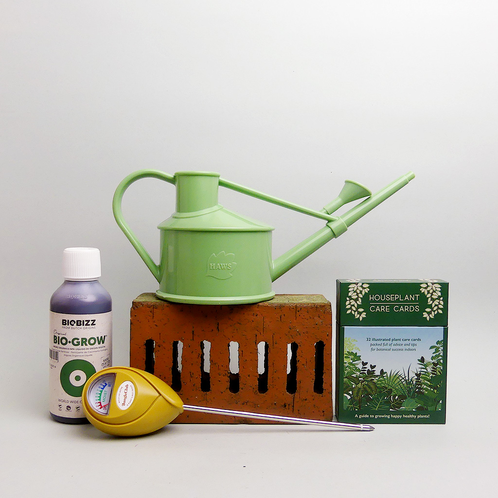 Set für Anfänger*innen mit salbeigrüner Gießkanne von Haws