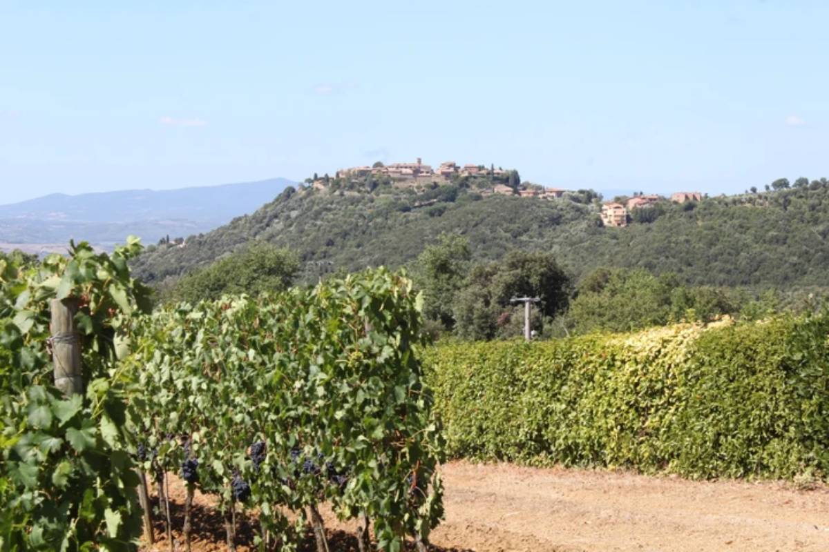 La Torre