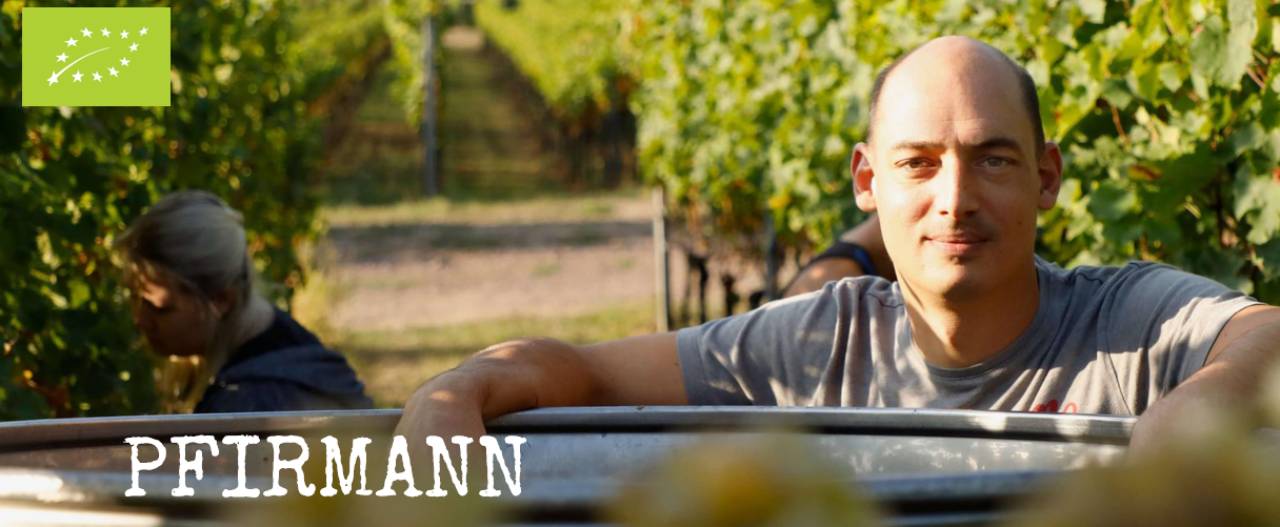 Pfirmann