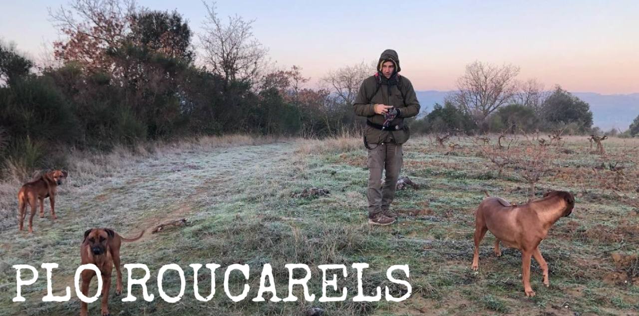 Plo Roucarels