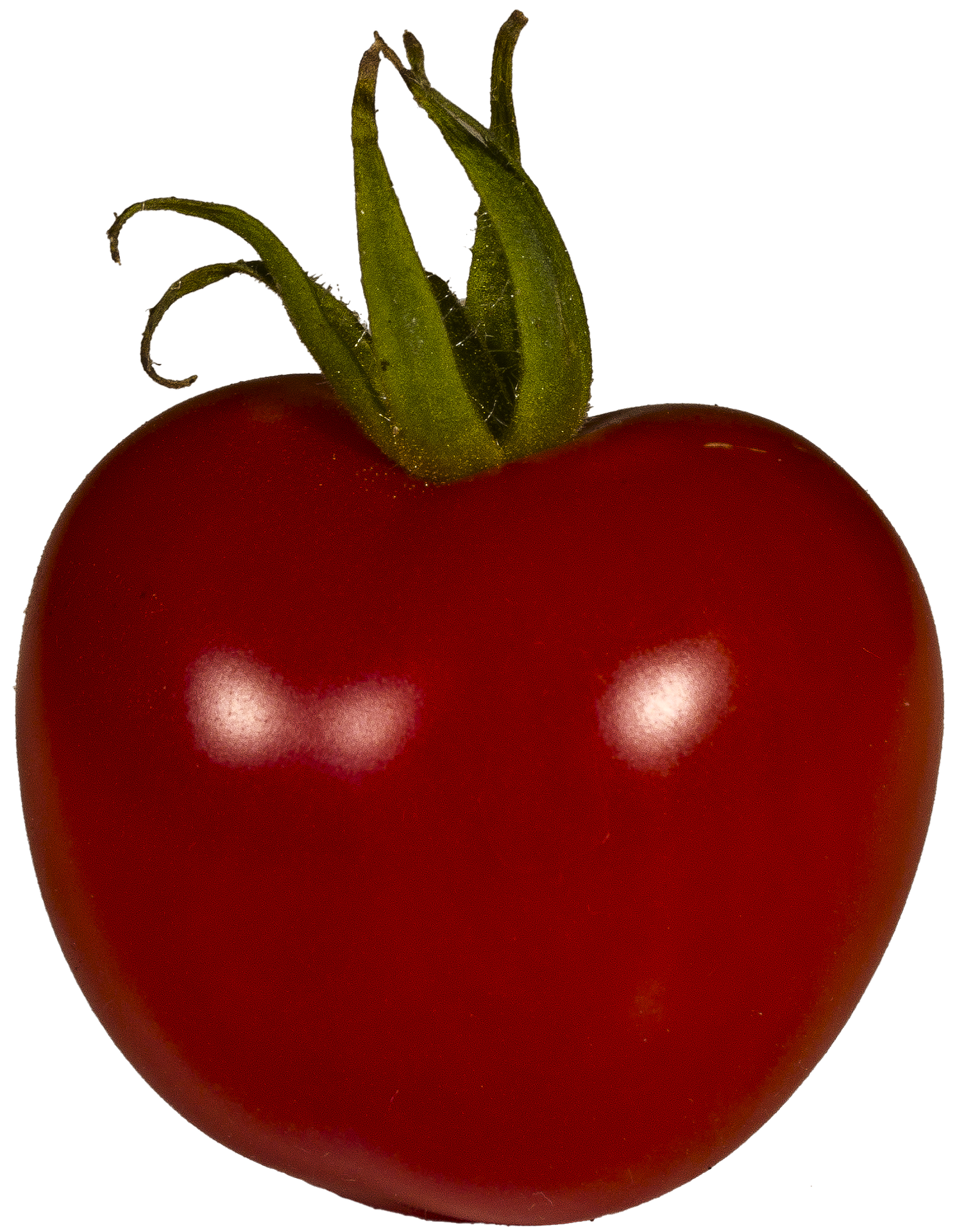 tomato-2485050_1920.png